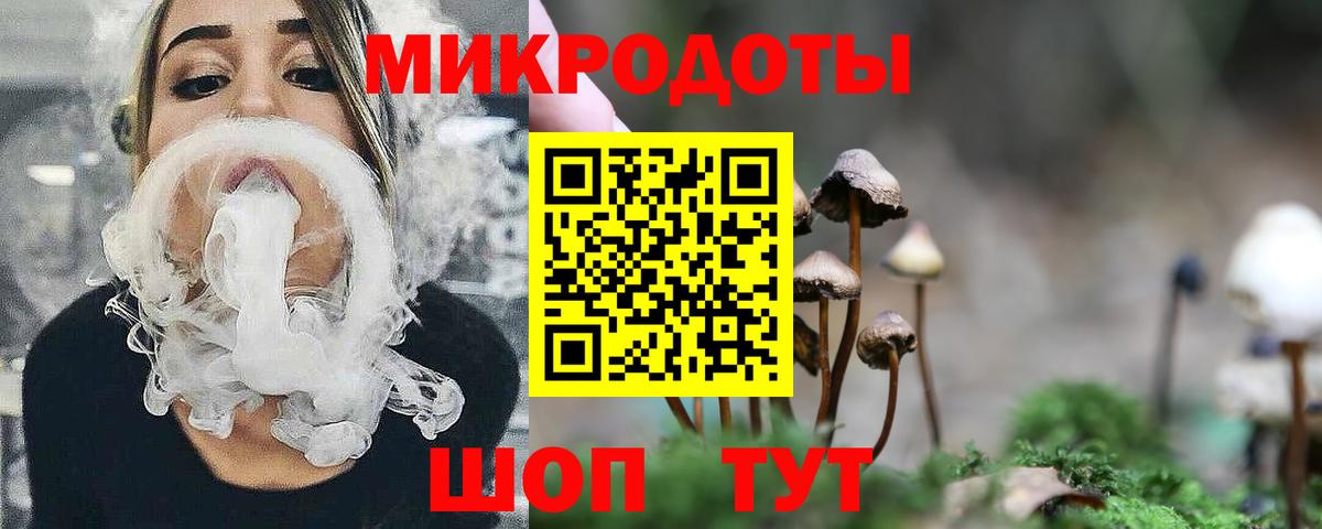Галлюциногенные грибы мухоморы Благовещенск